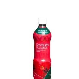 KOMBUCHA HIBISCUS 500ML - Imagem 1