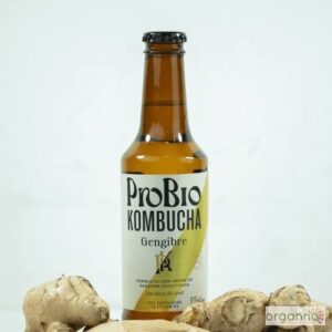 PROBIO KOMBUCHA GENGIBRE 275ML - Imagem 1
